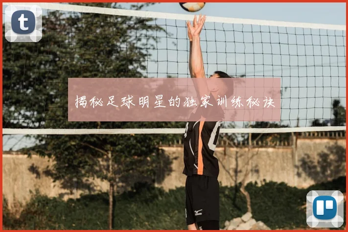 揭秘足球明星的独家训练秘诀